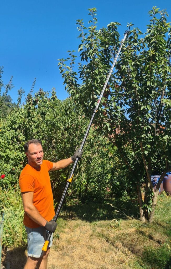 Fiskars UPX86 Teleskop-Schneidgiraffe im Einsatz beim Baumschnitt ohne Leiter in Gernsbach
